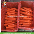 Special New Crop Red Carrot